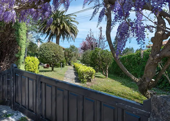 Glicinia Prázdninový dům