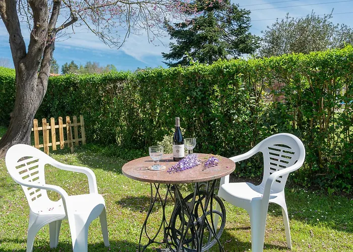 Glicinia Prázdninový dům