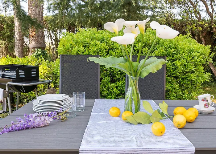 Glicinia Prázdninový dům *